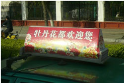 写真2 洛陽市内のタクシーの屋根につけられた「牡丹花会」の看板