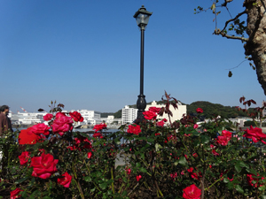 写真1 横須賀ヴェルニー公園