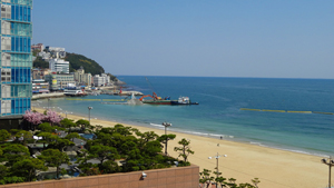 海雲台海岸の景色