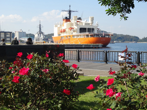 写真2 砕氷艦しらせを背景に